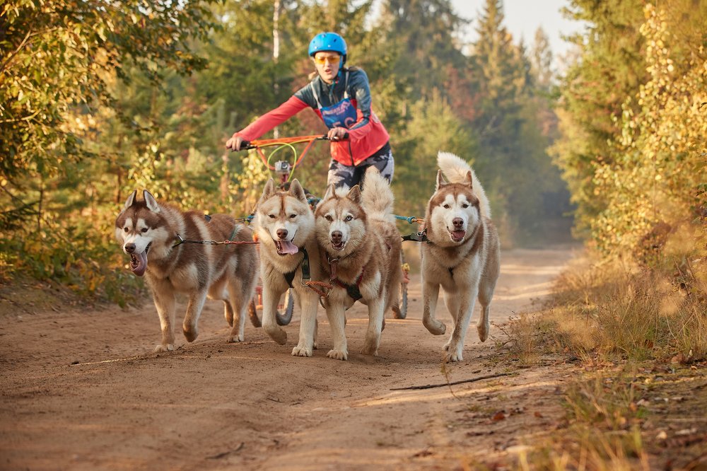 Photograph by Лана Полякова