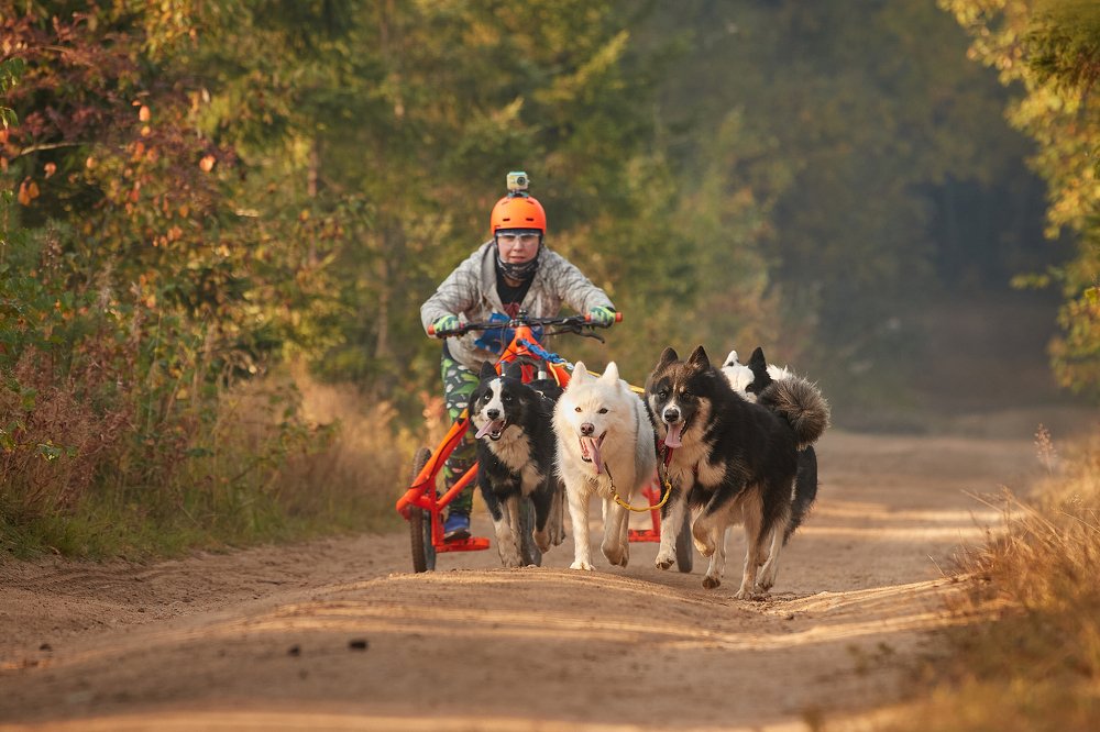 Photograph by Лана Полякова