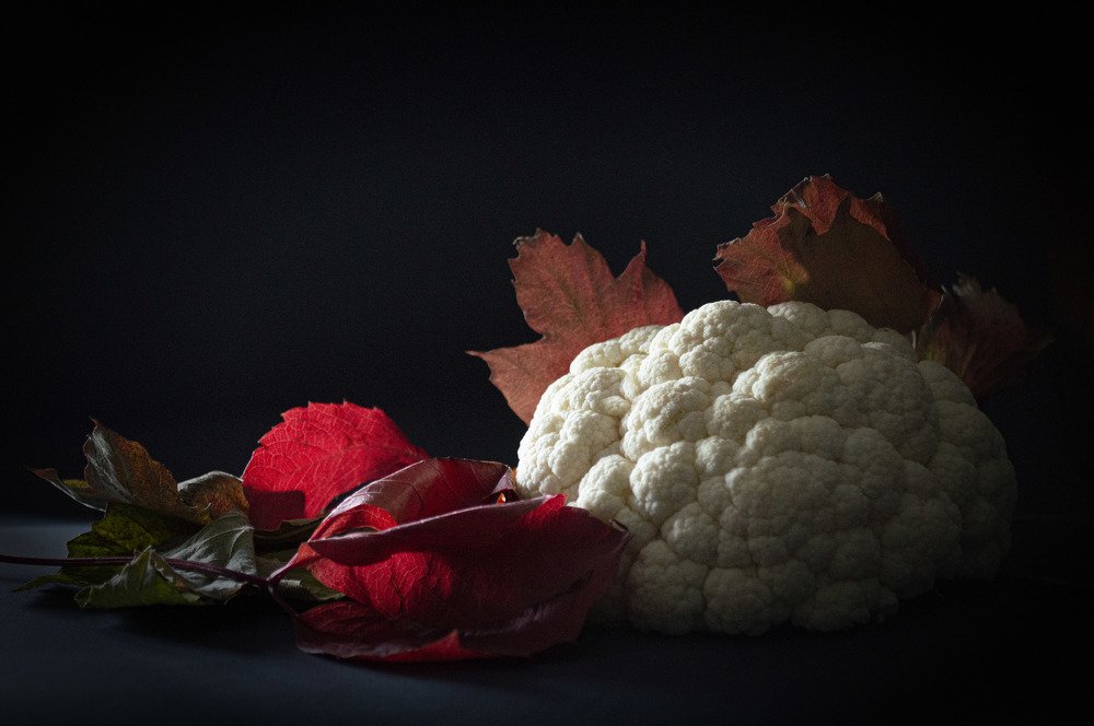 Photograph by Евгений Питенин