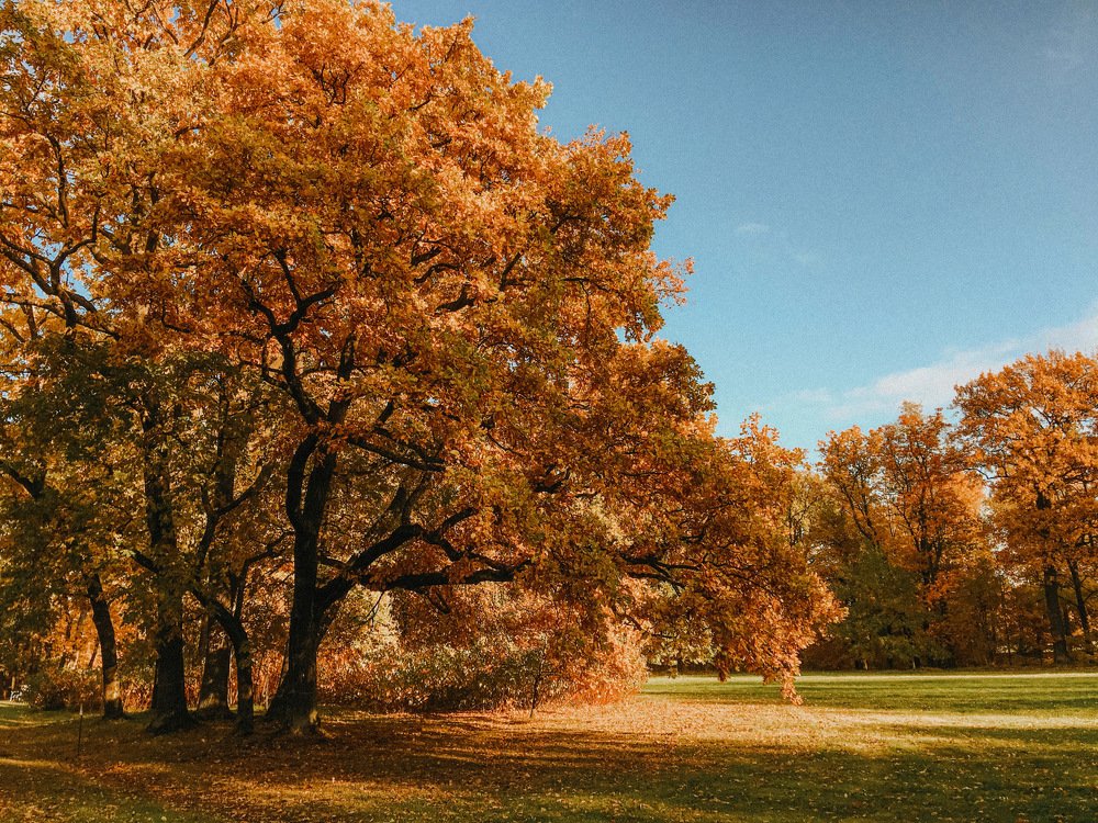 Photograph by Yana Shaforostova