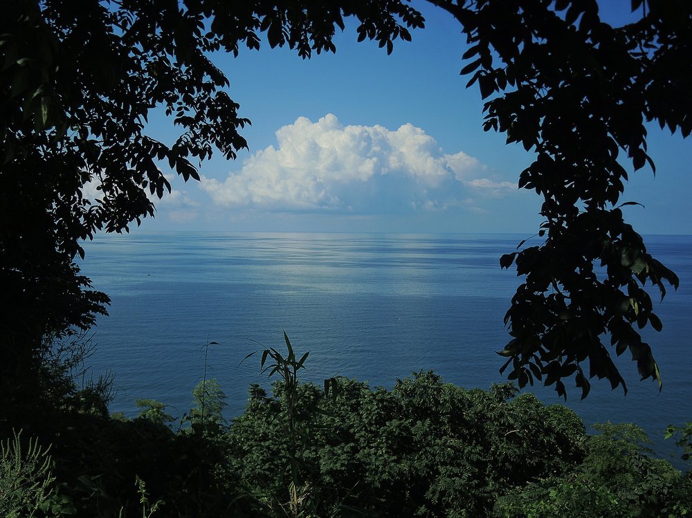 Photograph by Дмитрий Бурдин