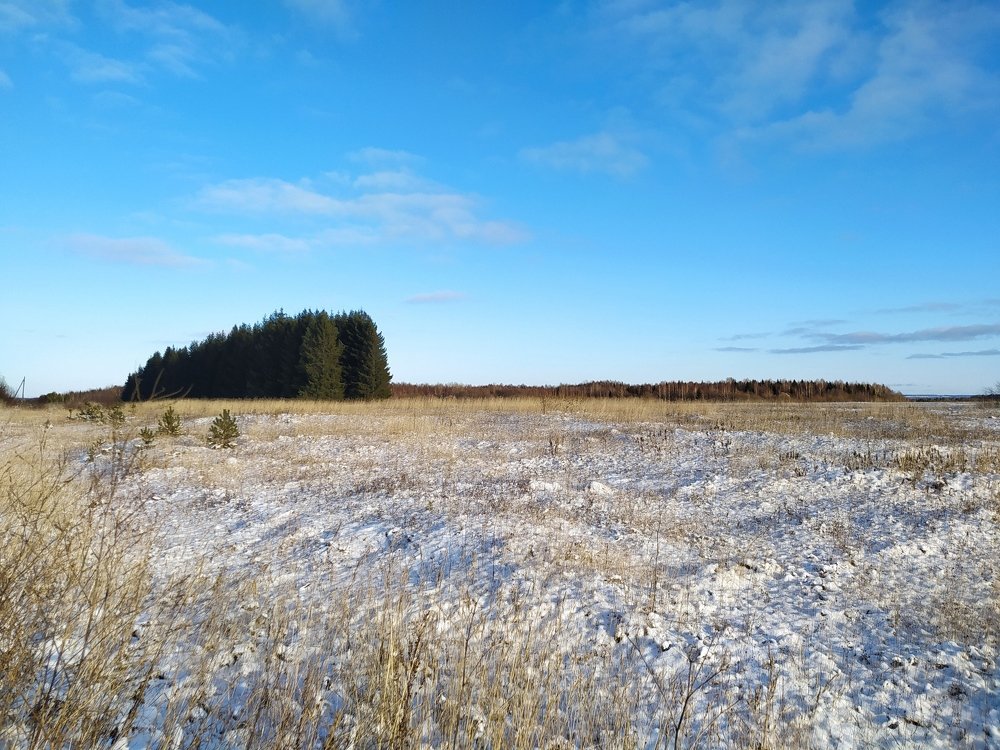 Photograph by София Корепанова
