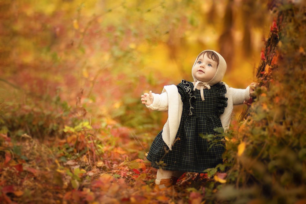 Осенний сказочный лес