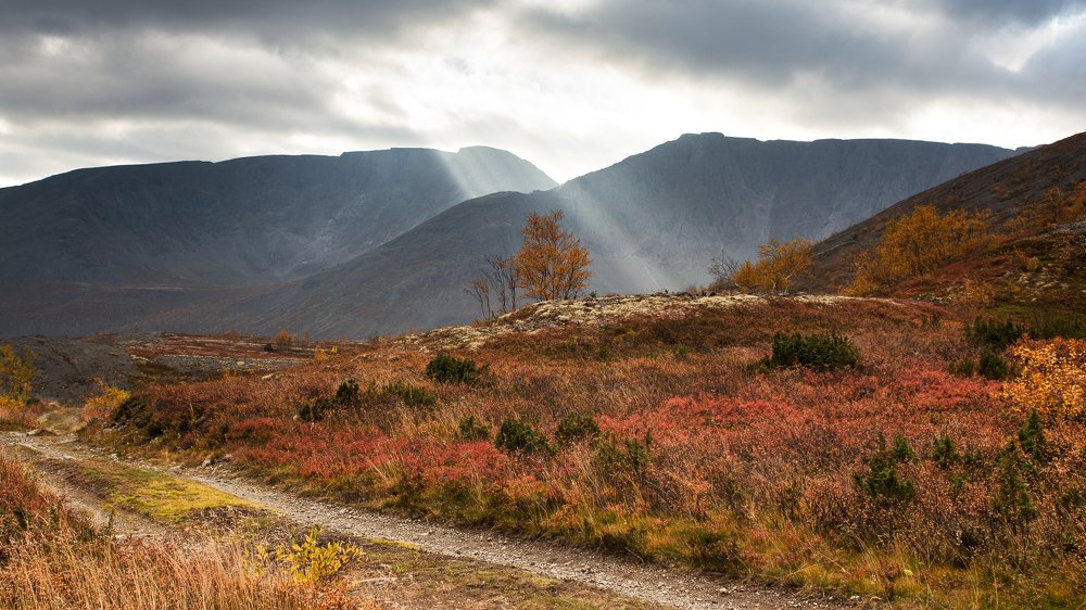 Photograph by Олег Быков