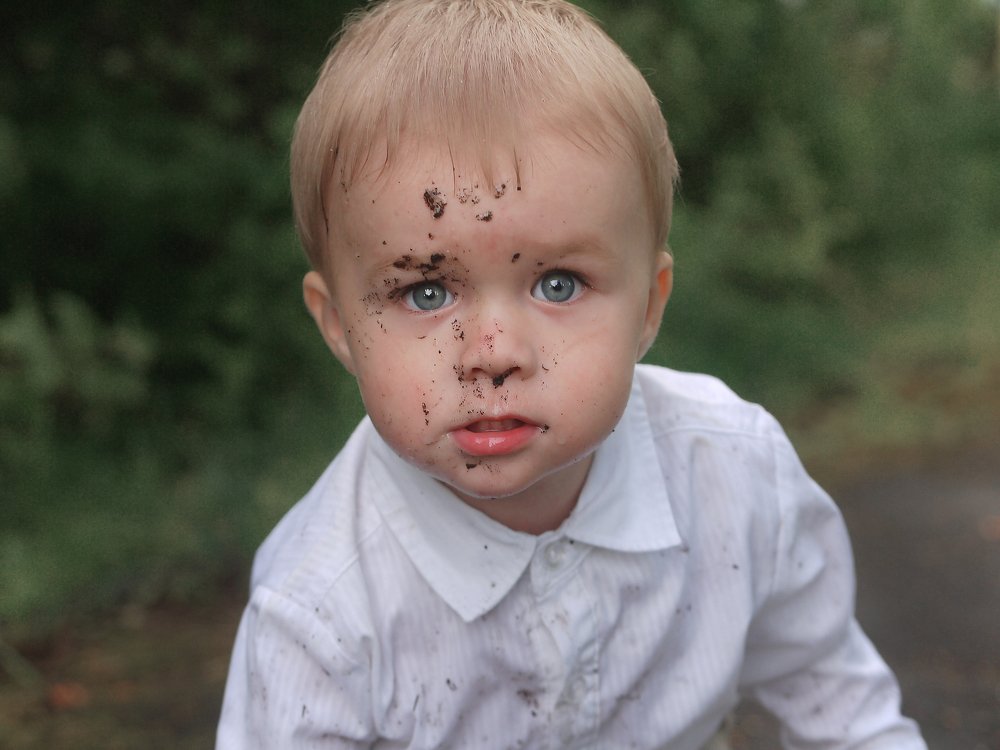 Photo #5251078