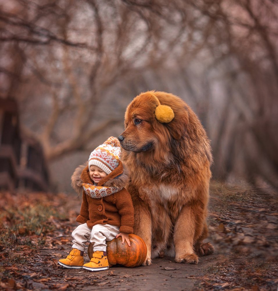 Photograph by Ольга Поморцева