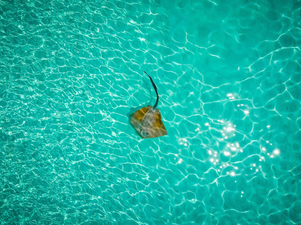 Photograph by Денис Гончаренко