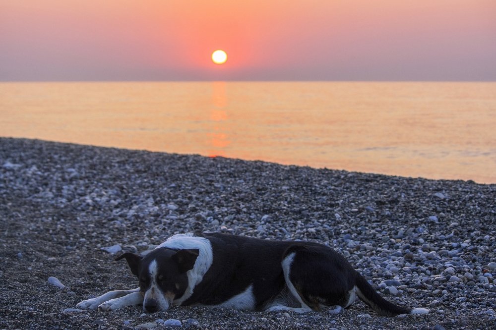 Photograph by Ирина Приходько