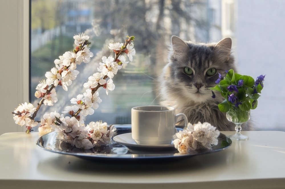 Photograph by Ирина Приходько