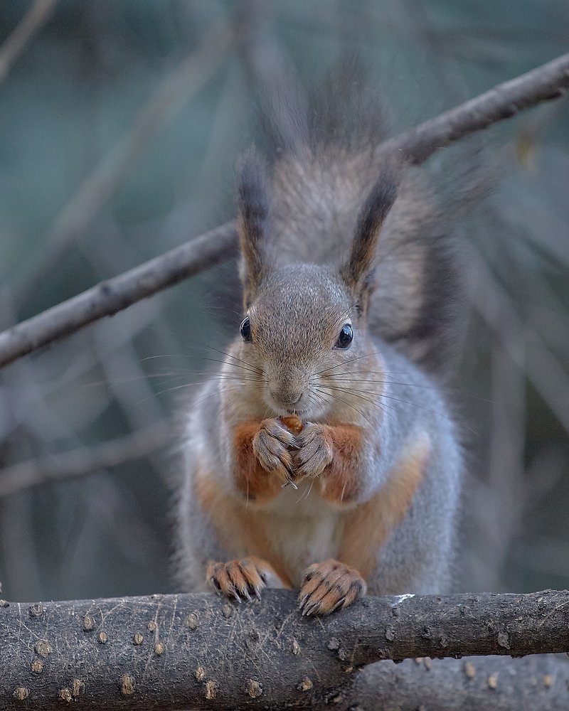 Photograph by Елена Мормоль