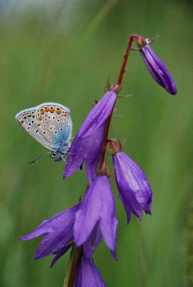 Photograph by Юрий Яковлев