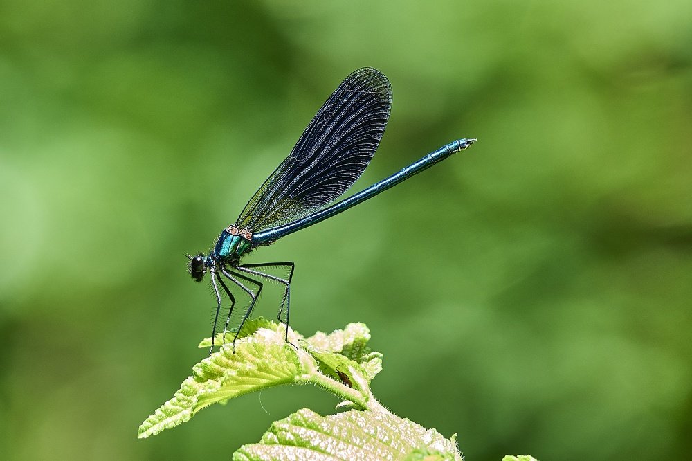 Photograph by Константин Шишкалов