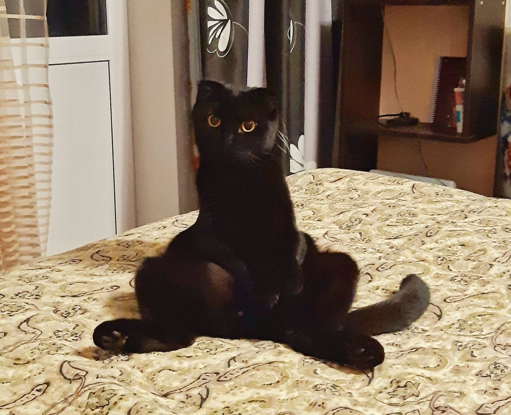 Photograph by Сергей Золотоверхий