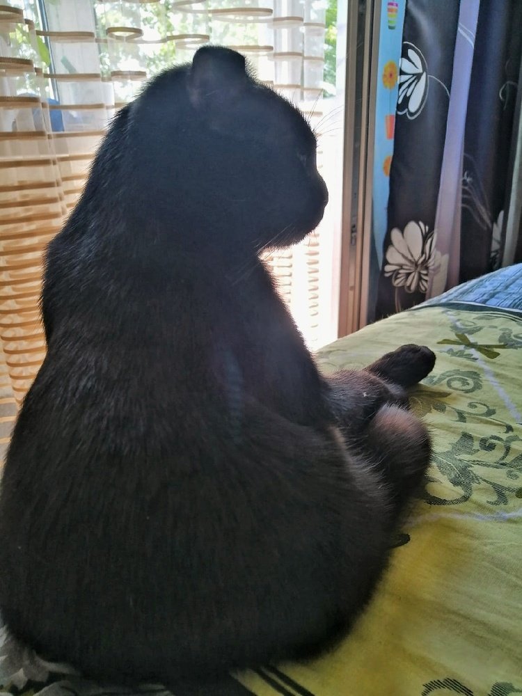 Photograph by Сергей Золотоверхий