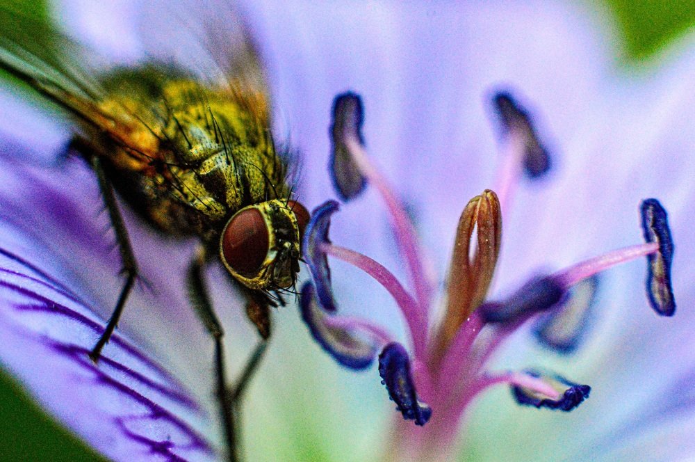 Photograph by Александр Молоцило