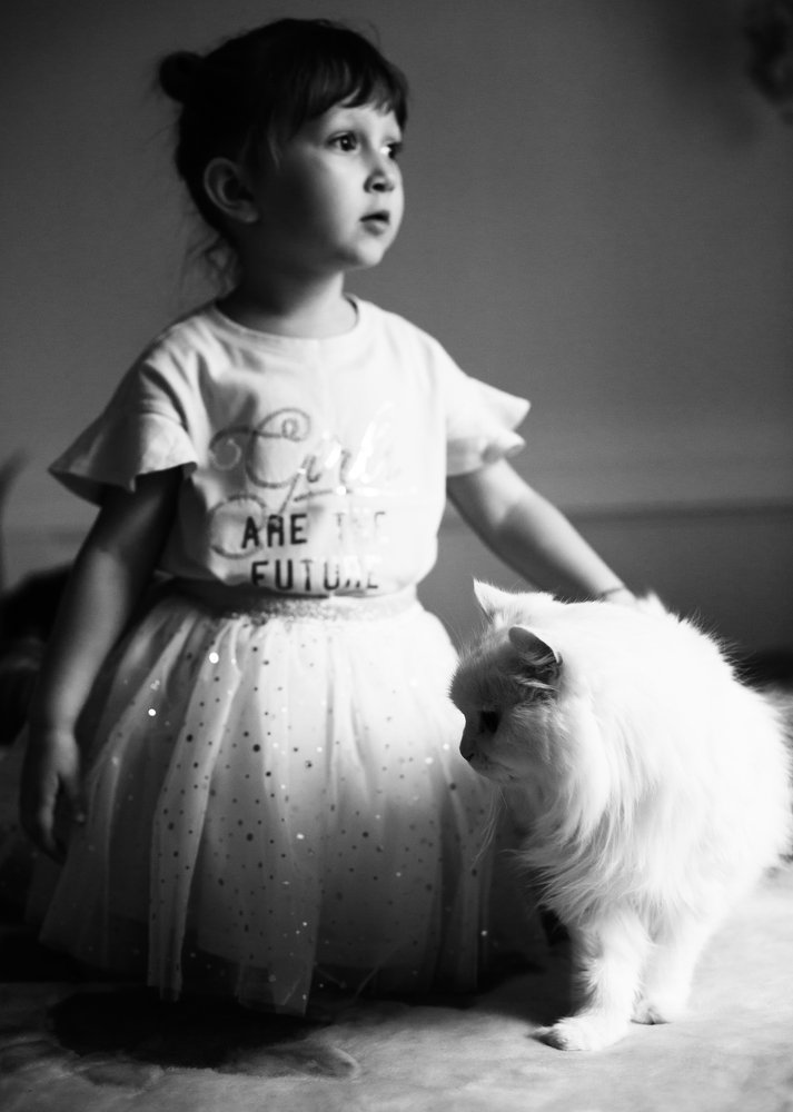 Photograph by Vlasenko Galina