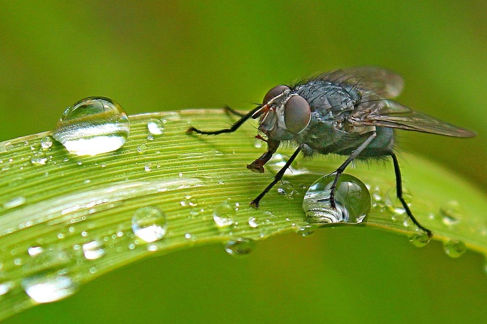 Photograph by Александр Велигура