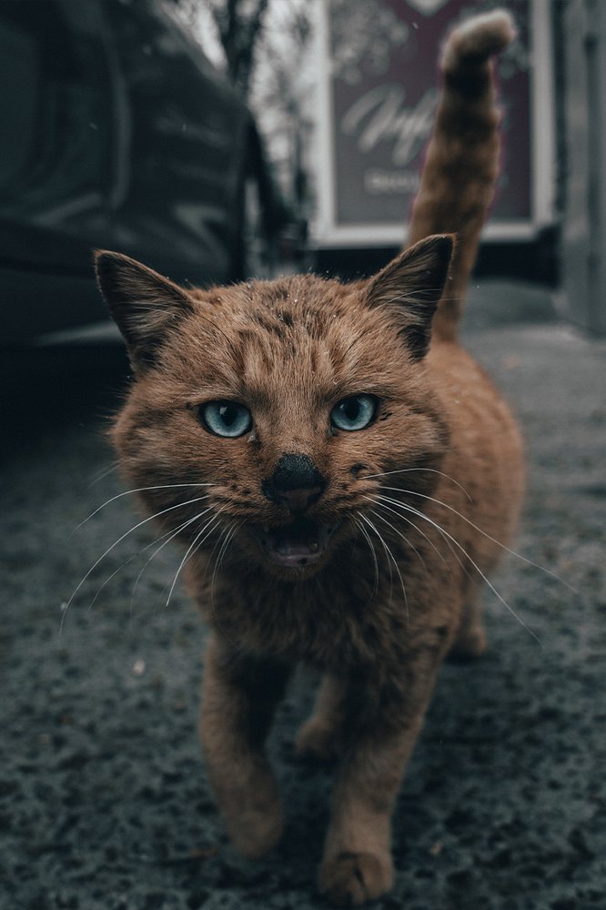 Photograph by Давид Григорьянц