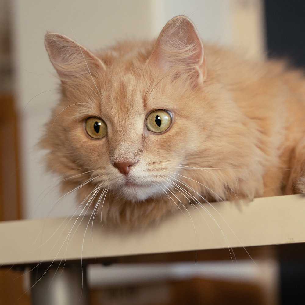 Photograph by Сергей Байтеряков