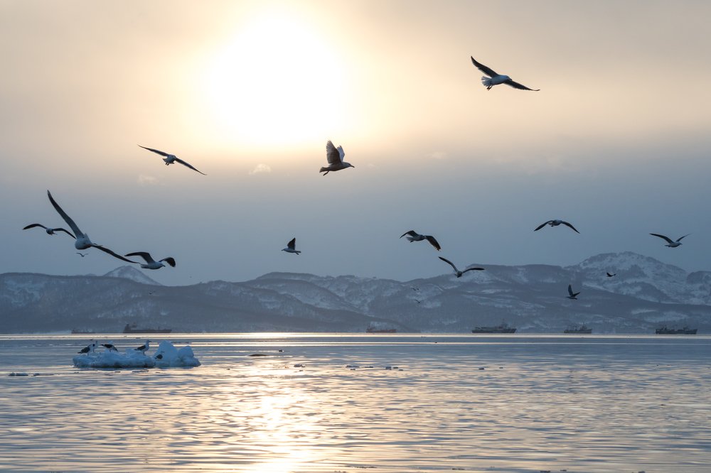 Photograph by Надежда Хаустова