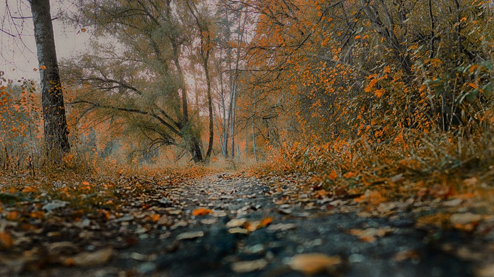 Осень пришла