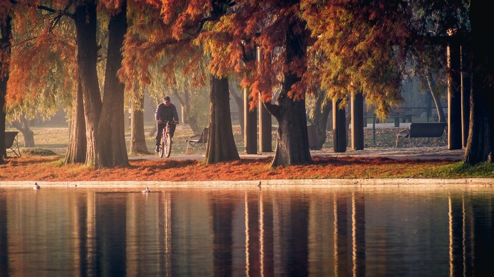Photograph by Ovidiu Domşa