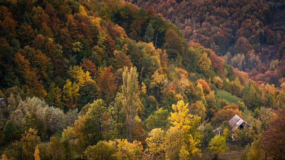 Photograph by Ovidiu Domşa