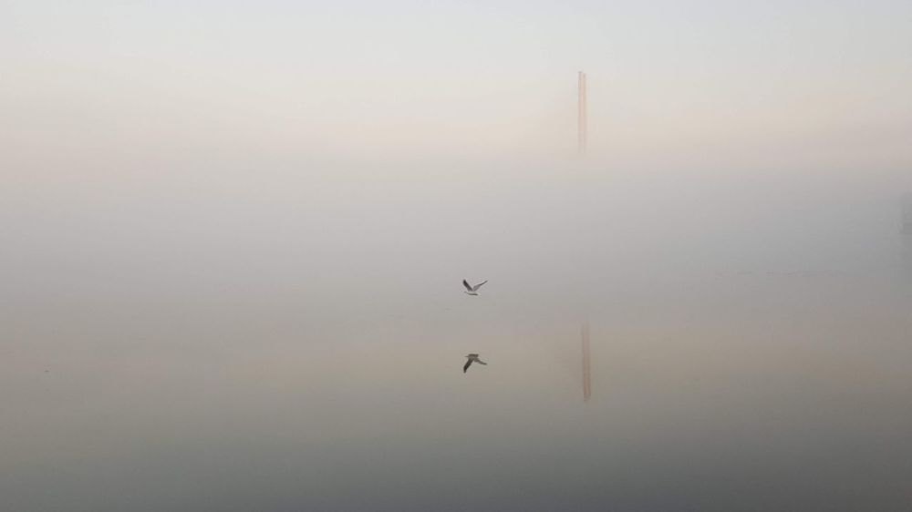 Photograph by Наталья Радченко
