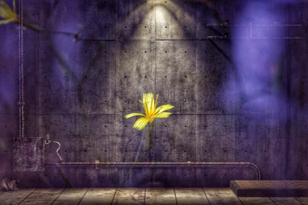 Photograph by Yana Kutateladze