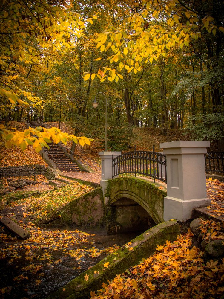 Осенний парк