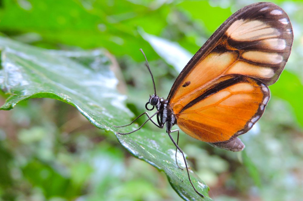 Photograph by Alejandro Mora