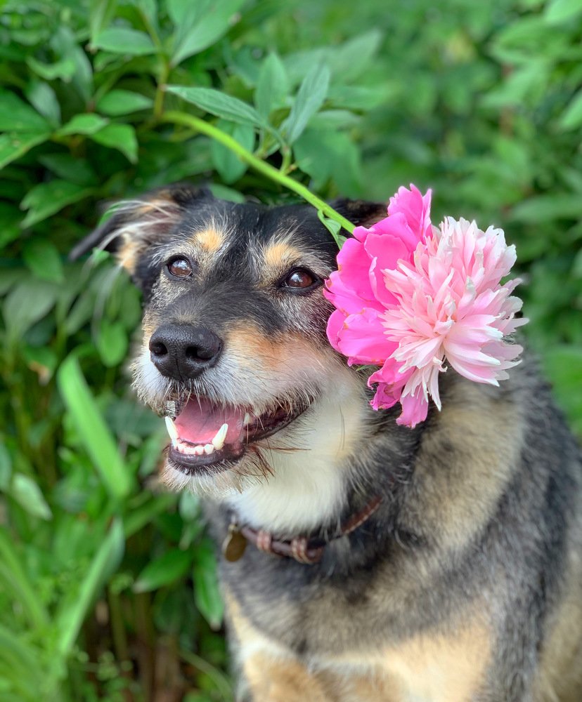 Photograph by Елена Смирнова