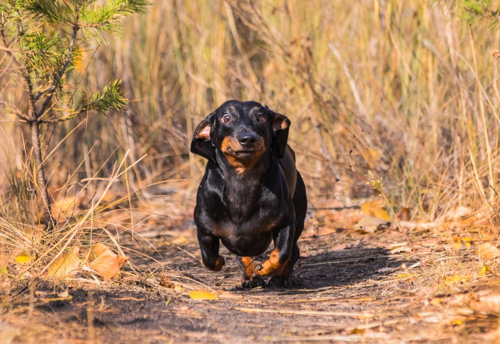 Photograph by Дмитрий Тимин