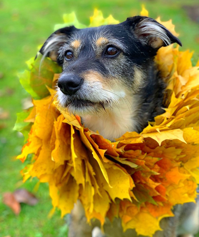 Photograph by Елена Смирнова