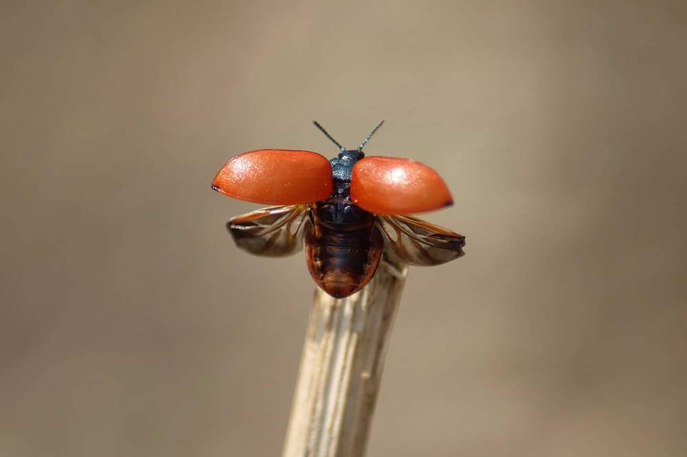 Приготовиться к полету