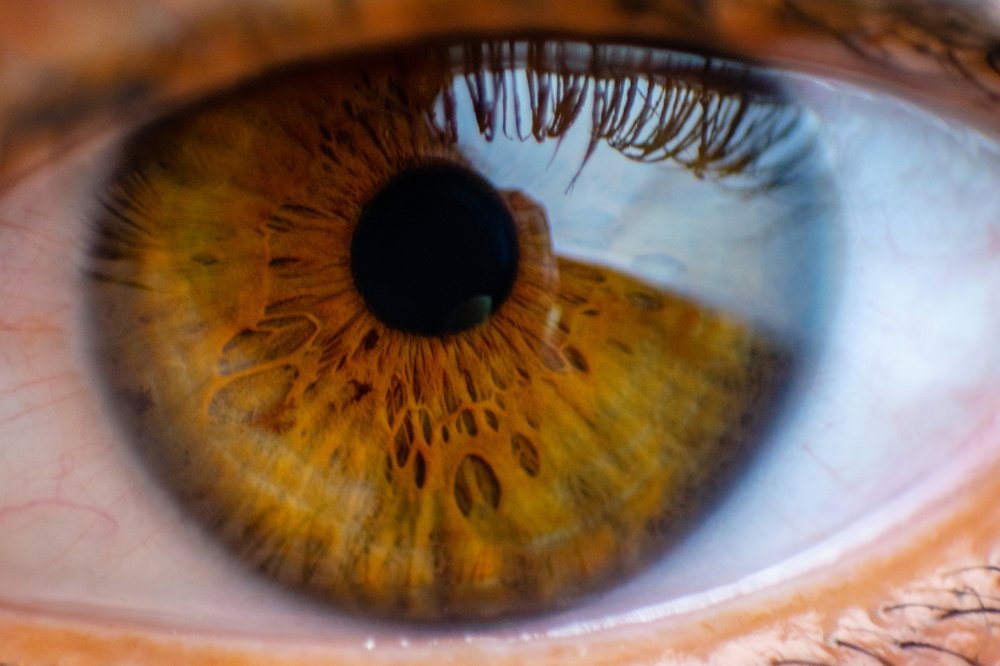 Photograph by Елена Ковальчук