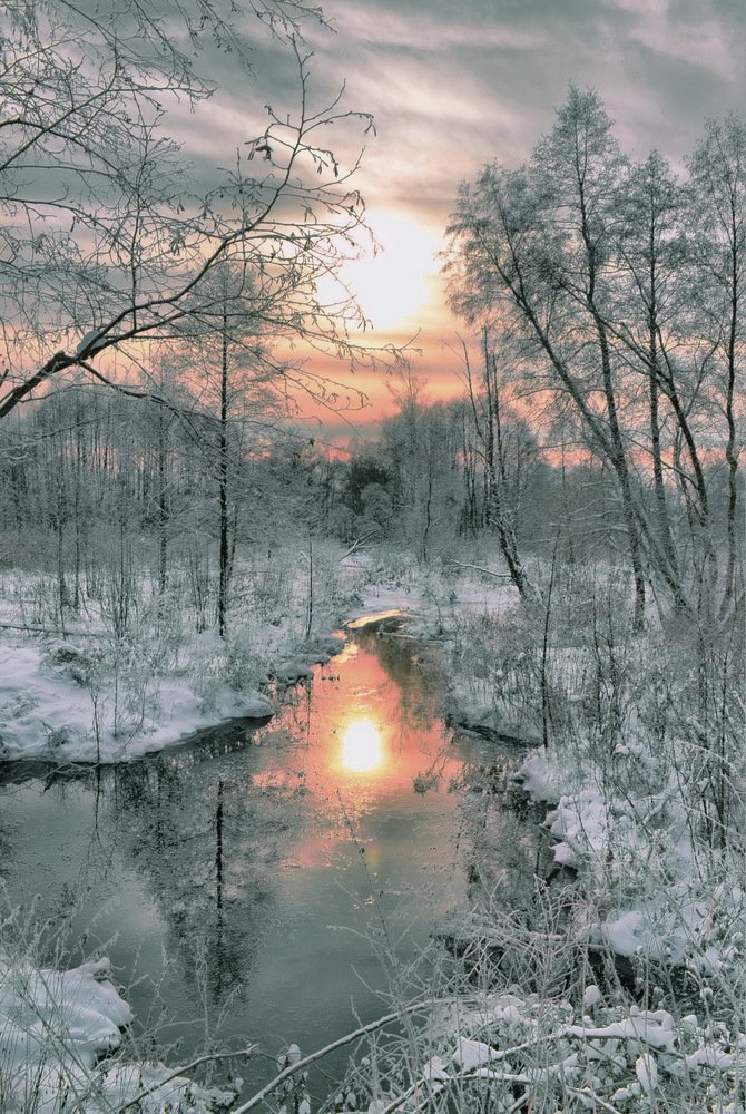 Зимний вечер в лесу