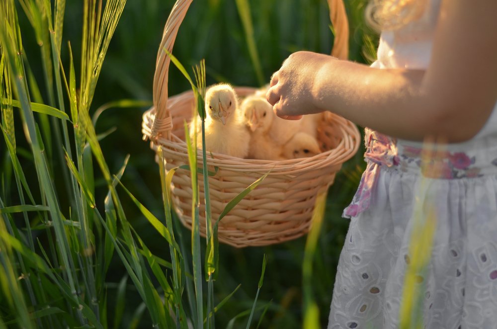 Фотография автора Екатерина Дубовец