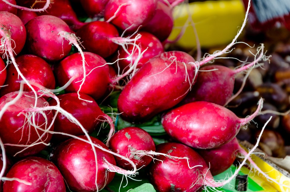 Photograph by David Alcaide