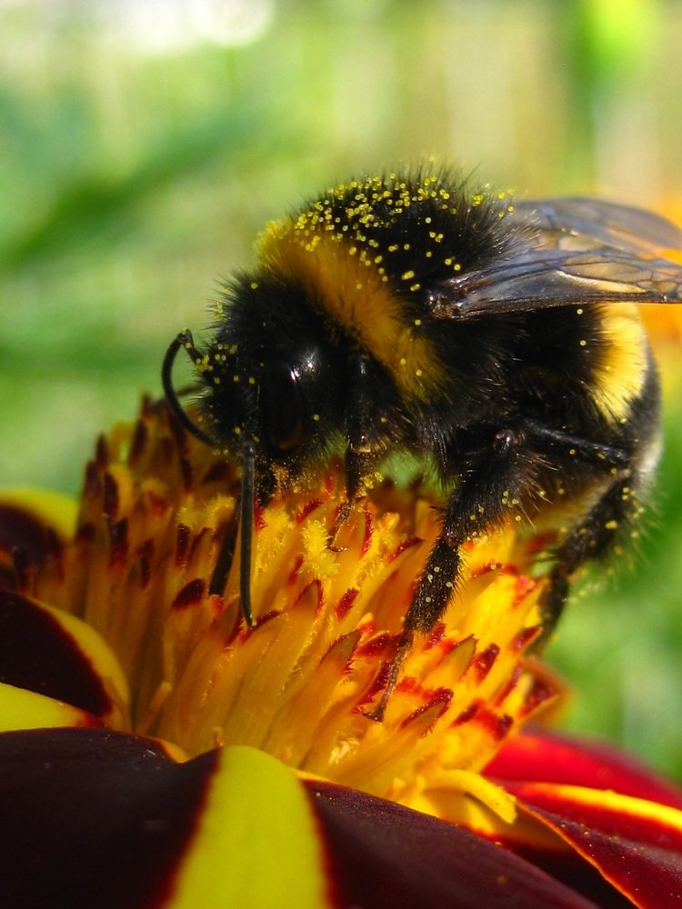 Photograph by Елена Смирнова