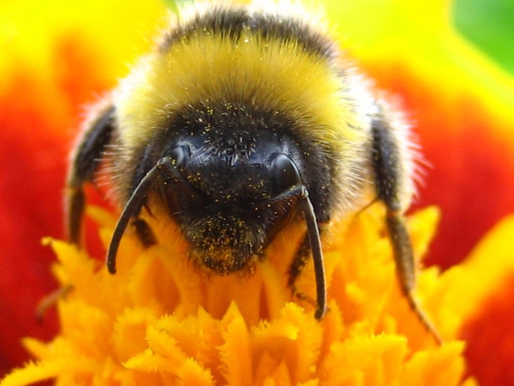 Photograph by Елена Смирнова