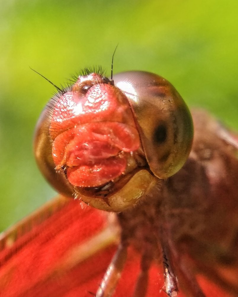 Photograph by Asim Mandal