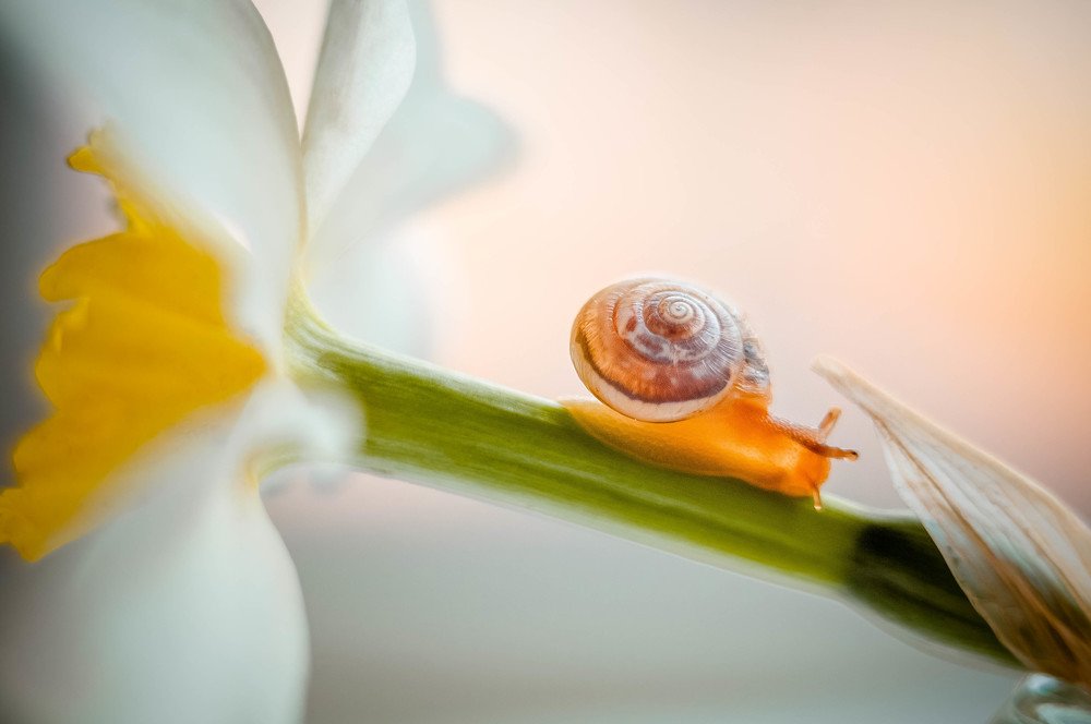 Photograph by Олеся