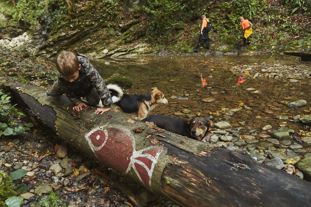Фотография автора Дмитрий Кукушкин