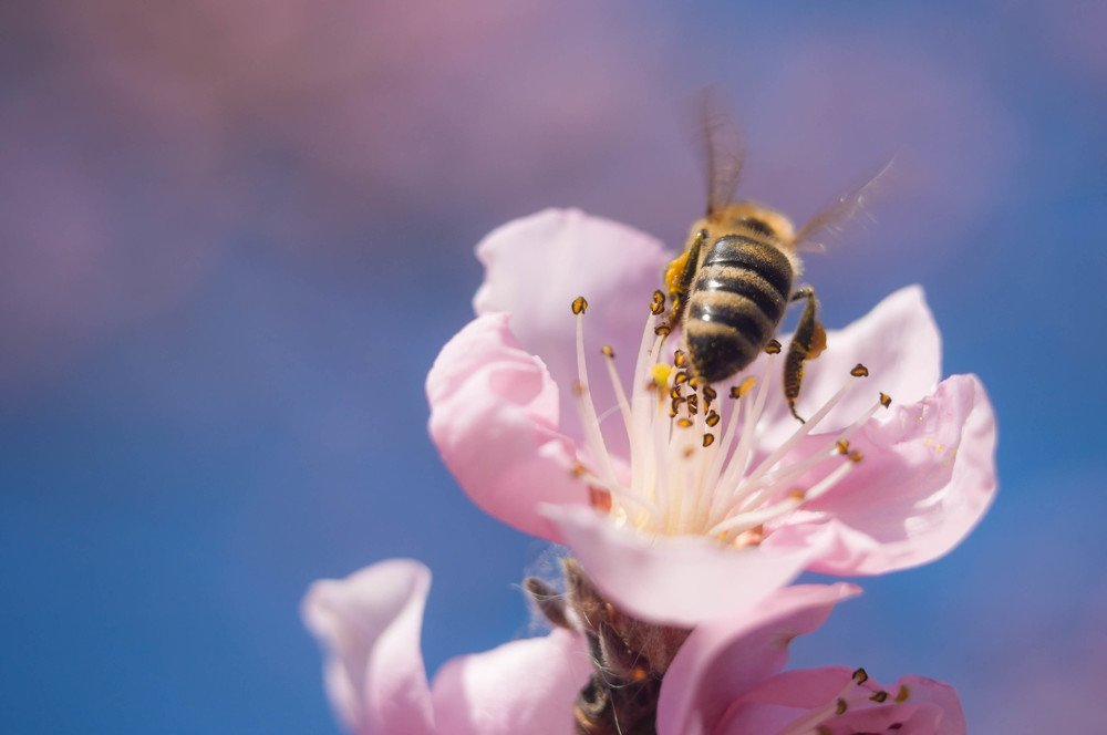 Photograph by Олеся