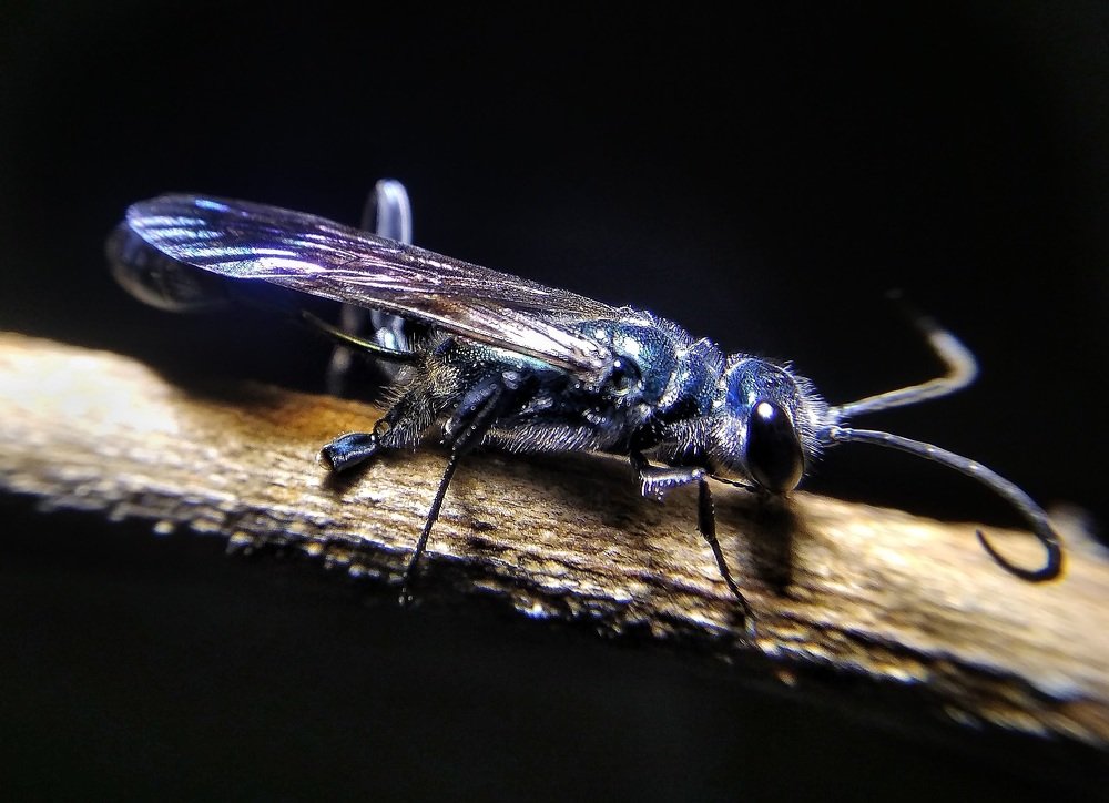 Photograph by Asim Mandal