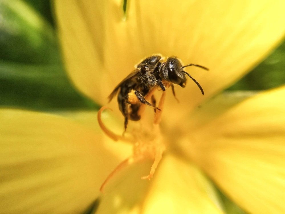 Photograph by Asim Mandal