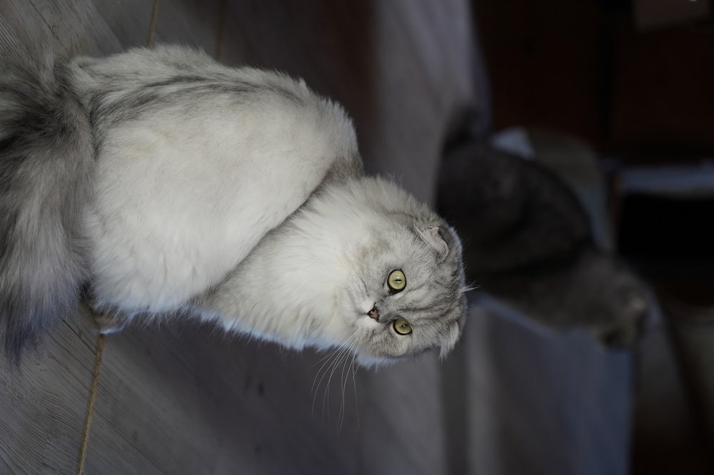 Photograph by Yana Shaforostova