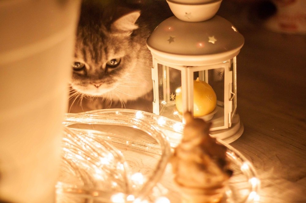 Photograph by Yana Shaforostova