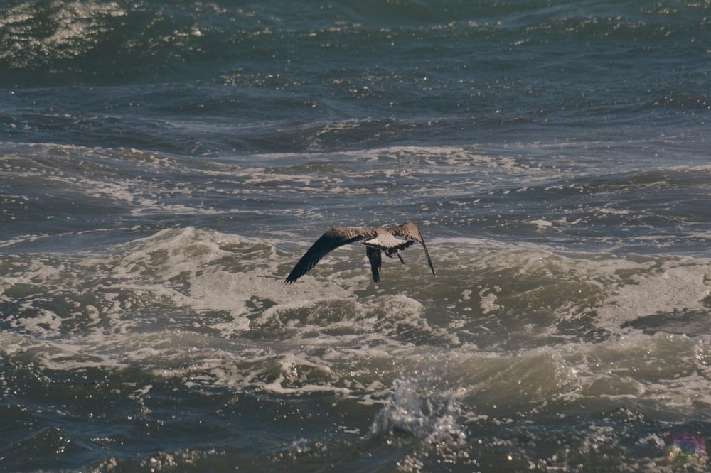 Photograph by Анна Алексеева